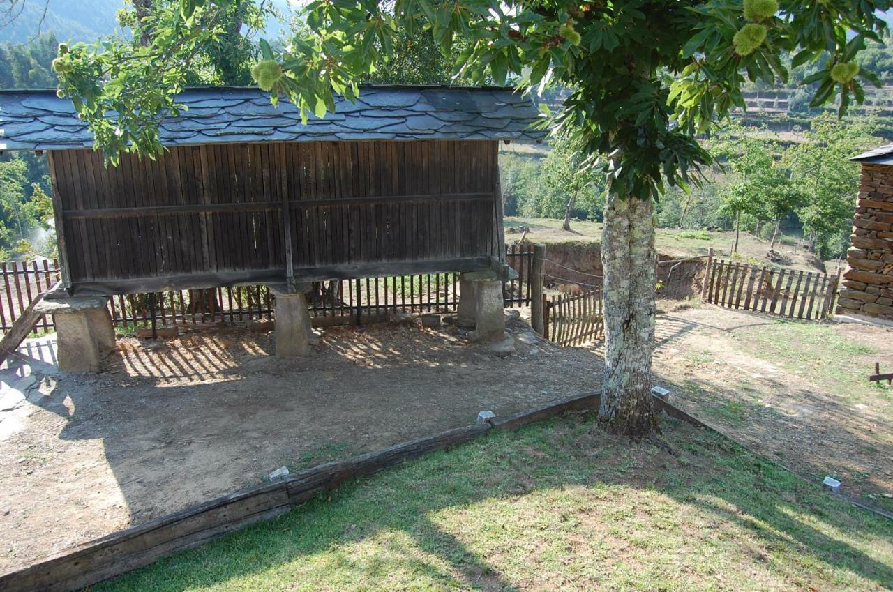 Casa De Campo "Quinta Do Cadafaz" Alvarenga Exterior foto